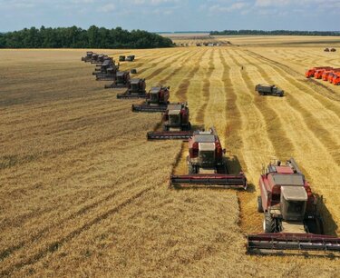 World grain market: wheat prices rose on Friday, soybean and corn prices fell in Chicago