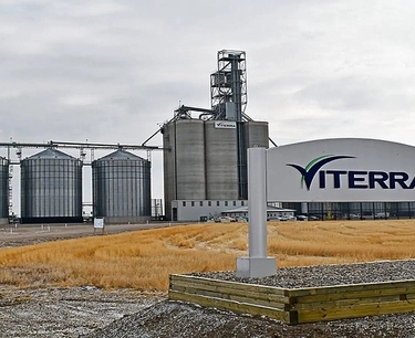 Viterra officially announced the cessation of grain exports from Russia since July this year