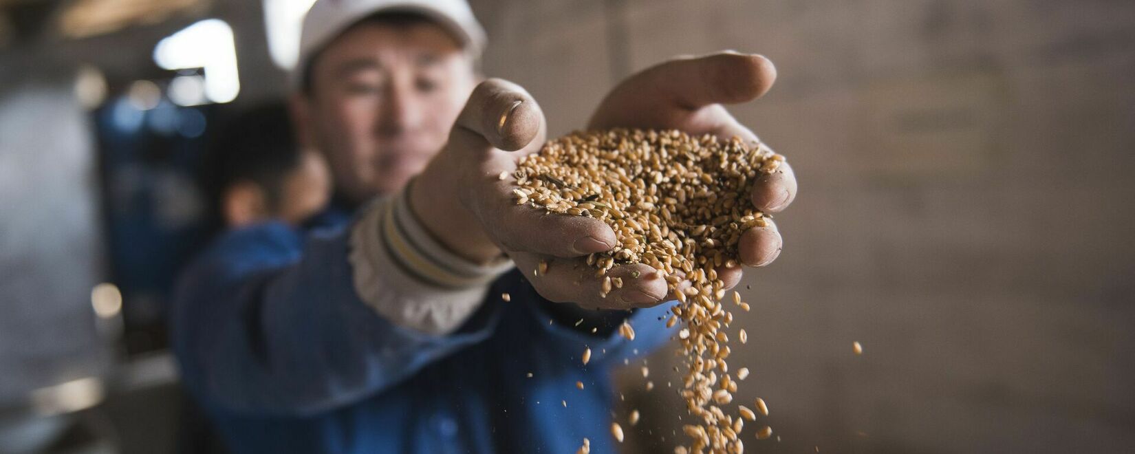 До 10 сентября из Казахстана в КНР нельзя вывозить зерно, продукты перемола и масличные в контейнерах
