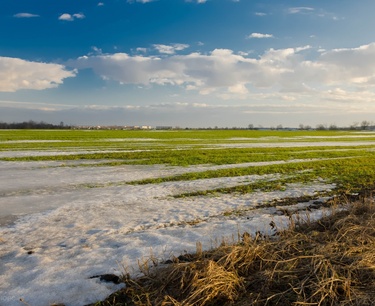 俄罗斯农业部长宣布，超过94%的冬季作物在春季时处于良好状态。