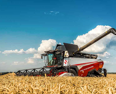 “小麥要漲價”——這是農業部的預期